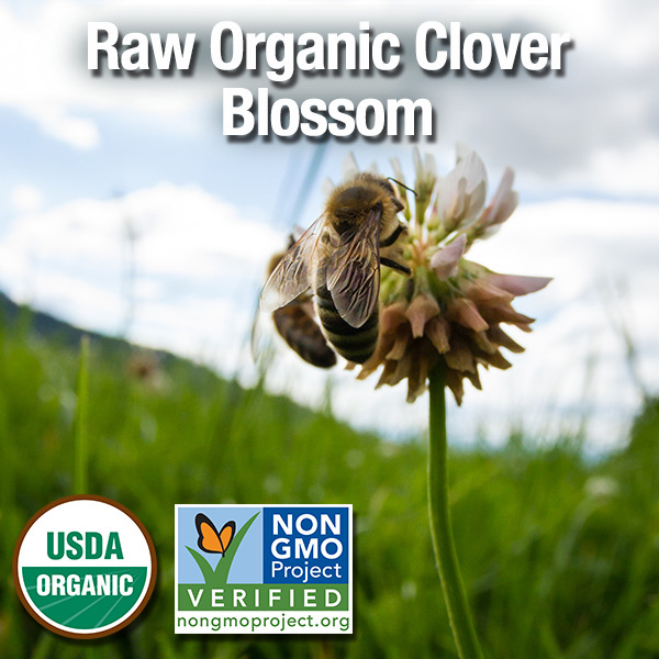 Raw Organic Clover Honey