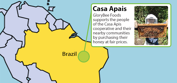 Casa Apais Honey Map