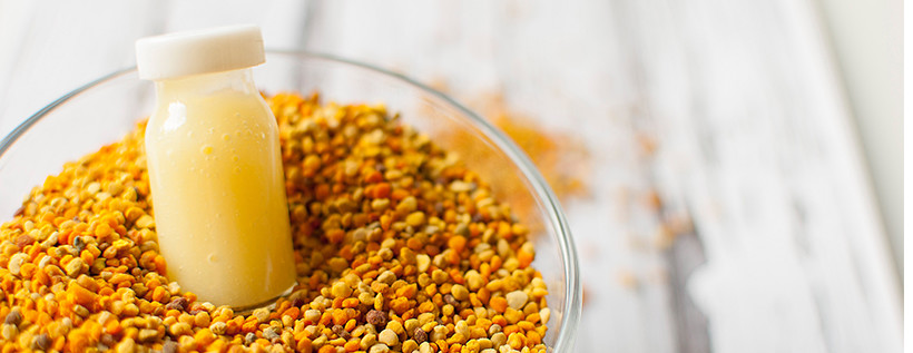 GloryBee Hive Supplements GloryBee Hive Supplements