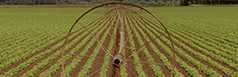 Food For Health Food For Health
